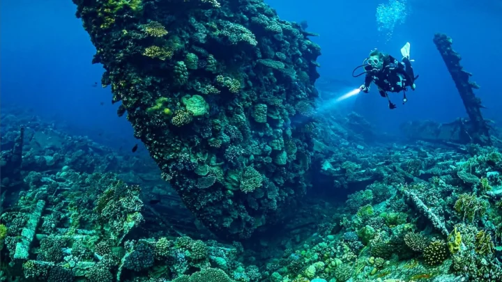 Dive Sites, Great Ocean Road