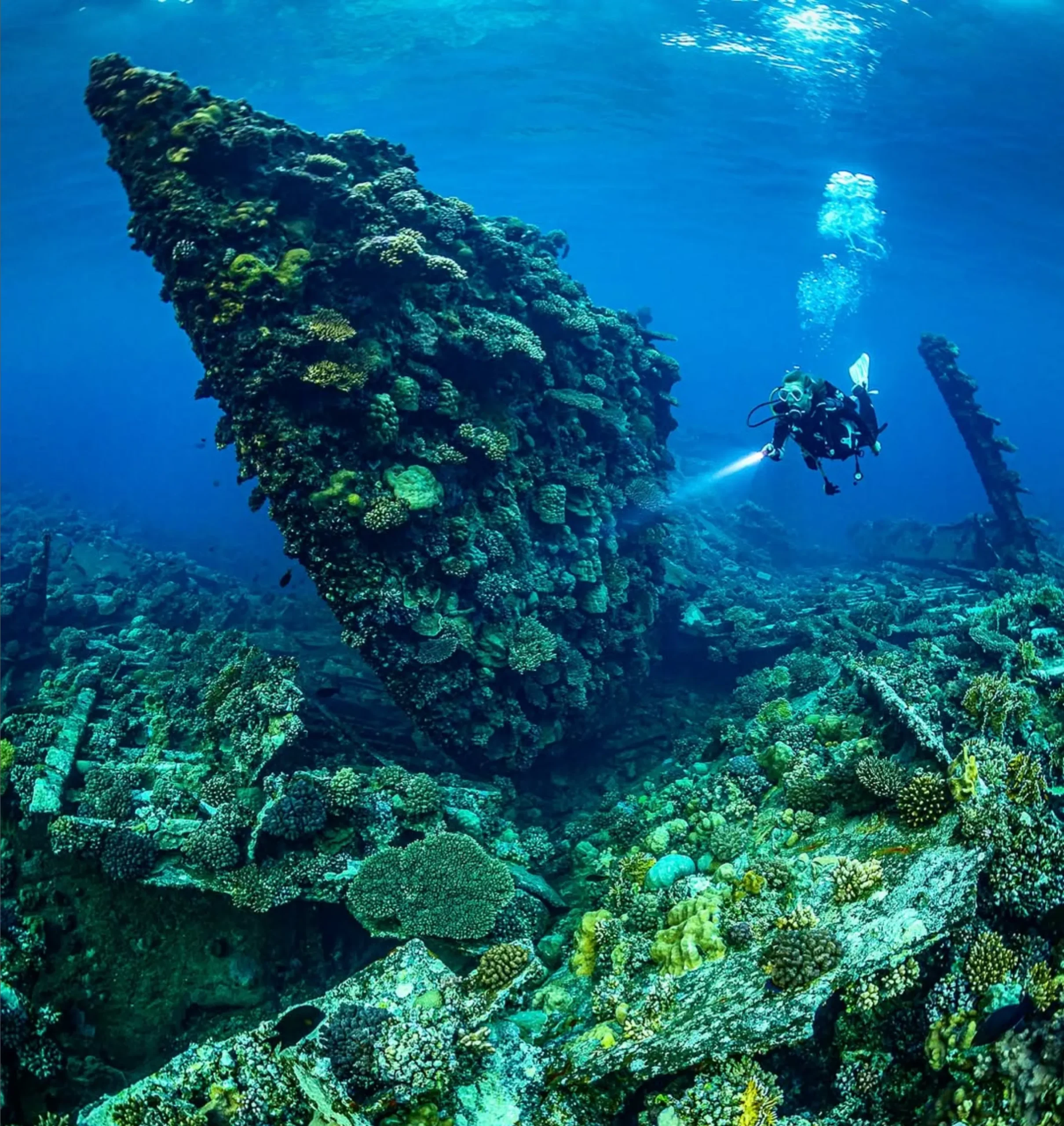 Dive Sites, Great Ocean Road