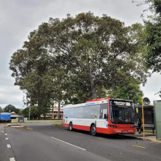 Is there public transport on Phillip Island?