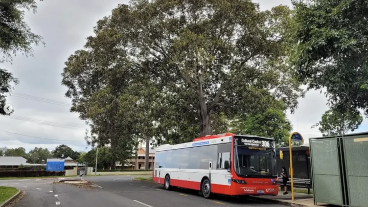 Is there public transport on Phillip Island?