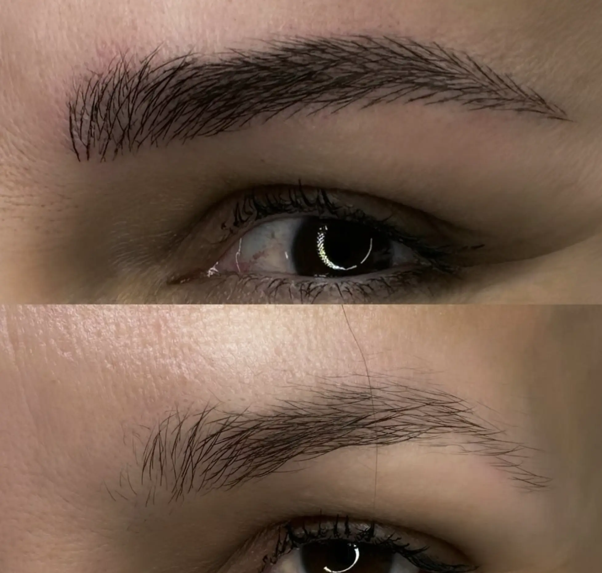 eyebrow tinting
